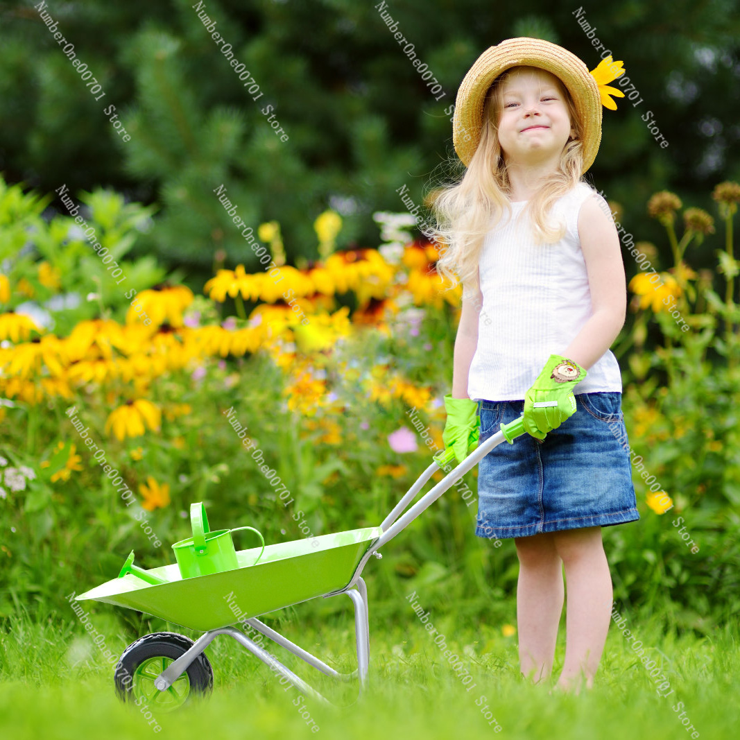 Gerobak Dorong Anak untuk Luar - Kids Outdoor Play ulasan dan harga